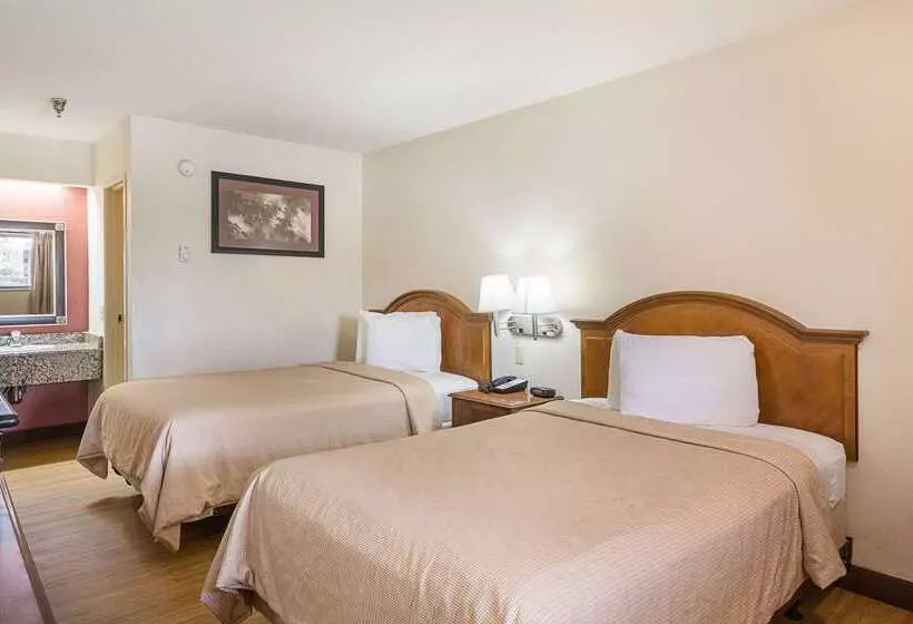 هتل Rodeway Inn Tampa Near Busch Gardensusf