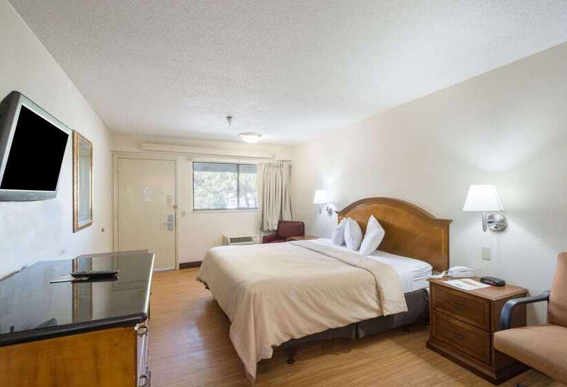 בית מלון כפרי Rodeway Inn Tampa Near Busch Gardensusf