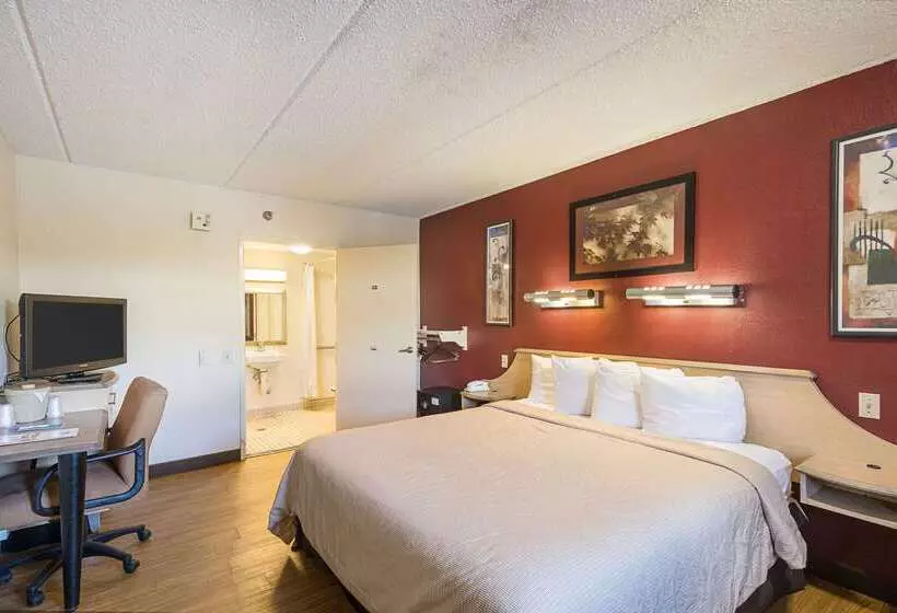 هتل Rodeway Inn Tampa Near Busch Gardensusf