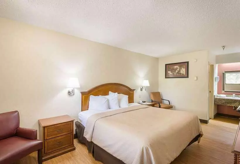 هتل Rodeway Inn Tampa Near Busch Gardensusf