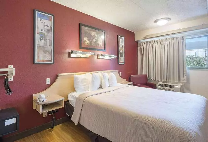 هتل Rodeway Inn Tampa Near Busch Gardensusf