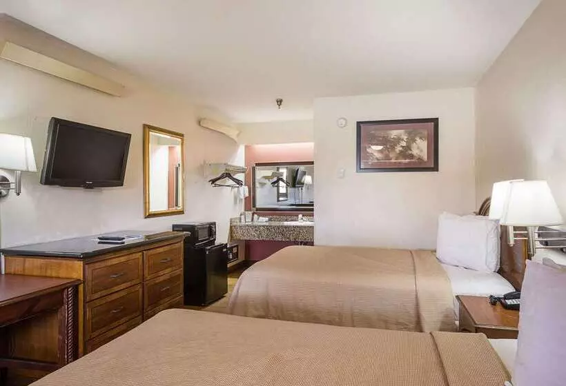 هتل Rodeway Inn Tampa Near Busch Gardensusf