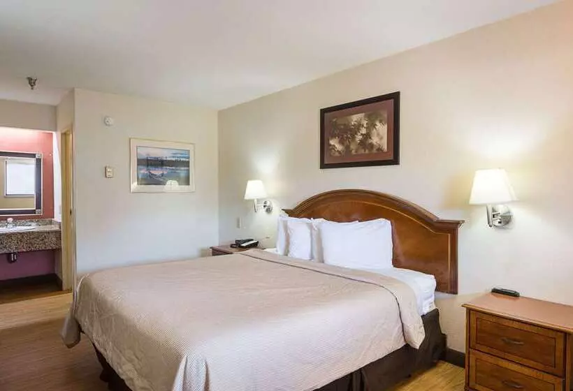 هتل Rodeway Inn Tampa Near Busch Gardensusf