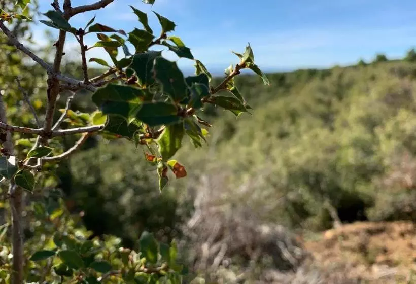 ユースホステル La Posada De Sofuentes