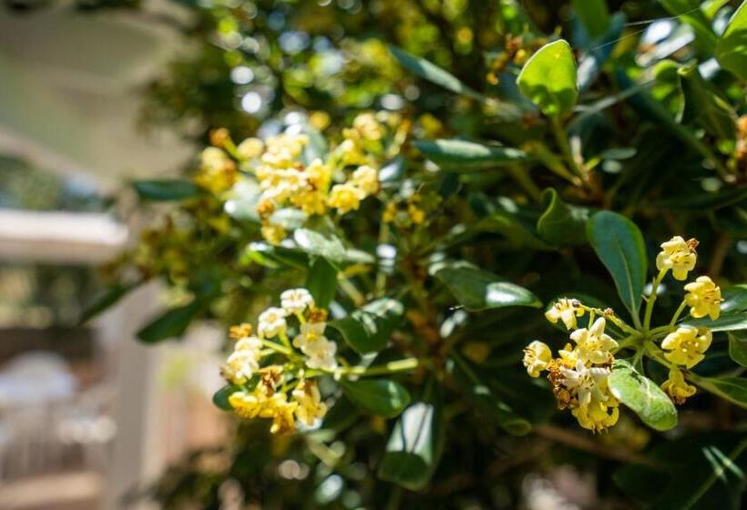 Bettina & Birgitta Formentera Break