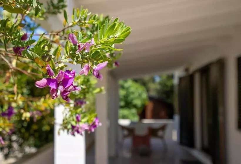 Bettina & Birgitta  Formentera Break