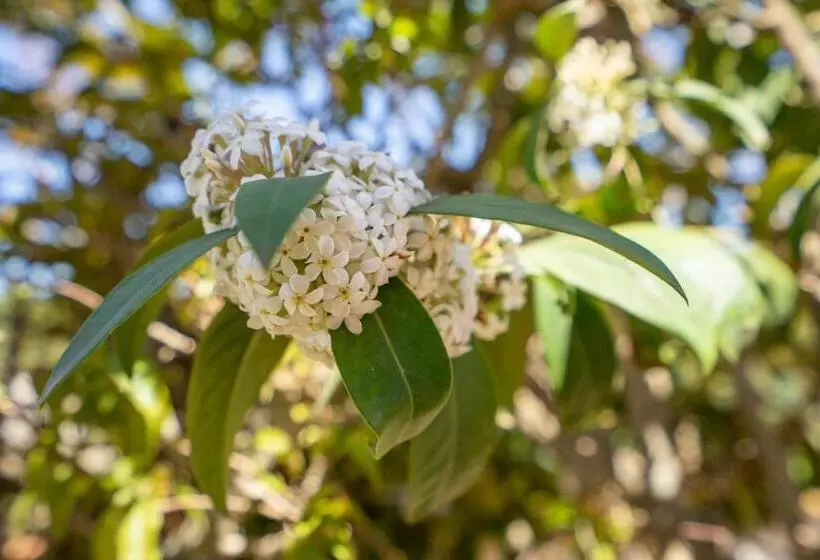 Bettina & Birgitta  Formentera Break