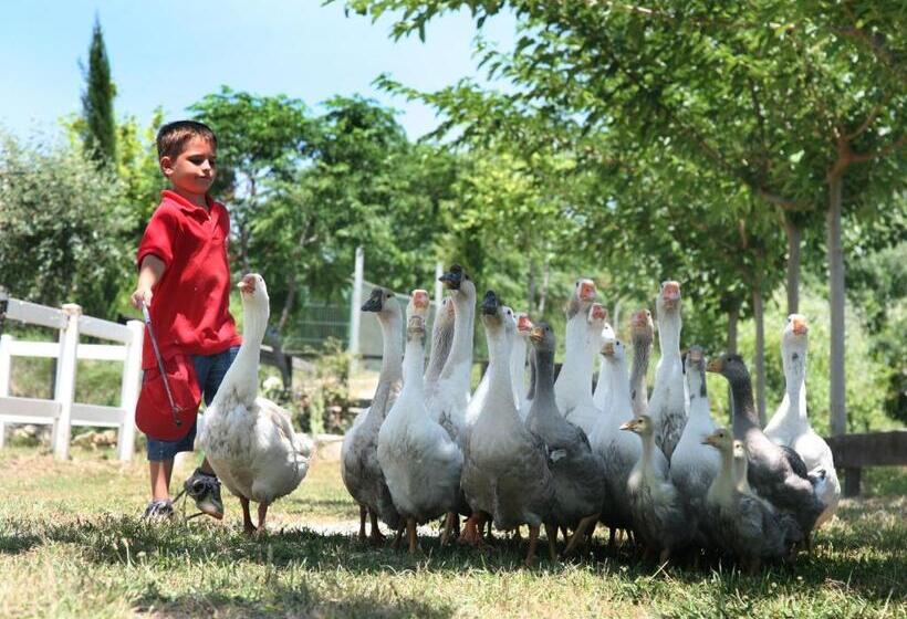 ホテル El Mas De Xetà