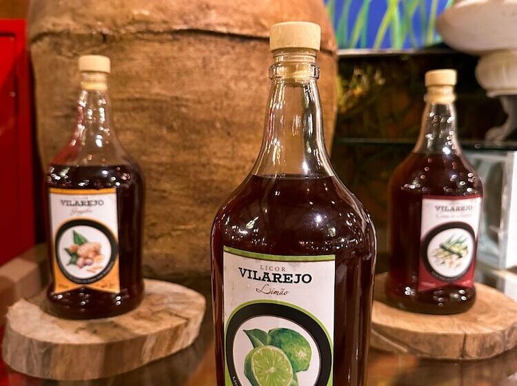 호텔 Fazenda Vilarejo