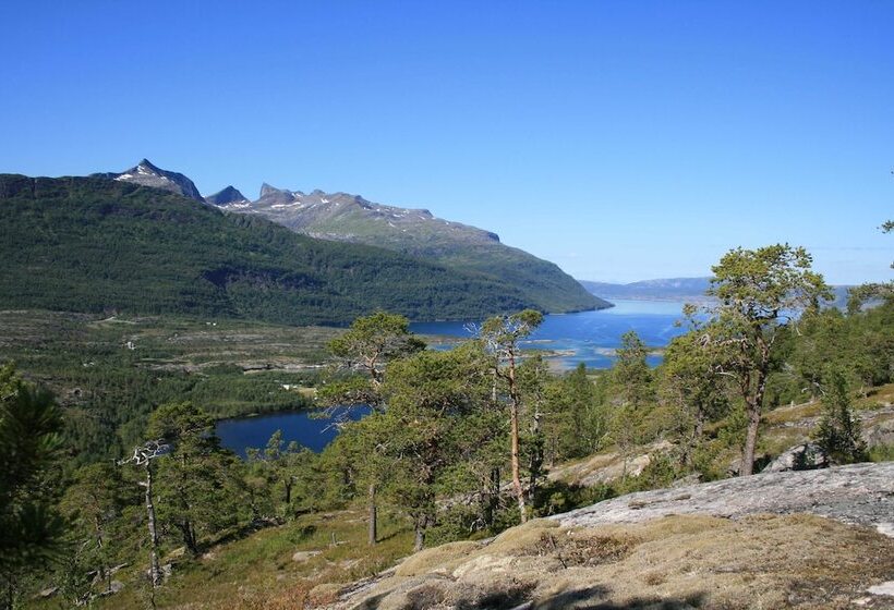 Tømmerneset Camping