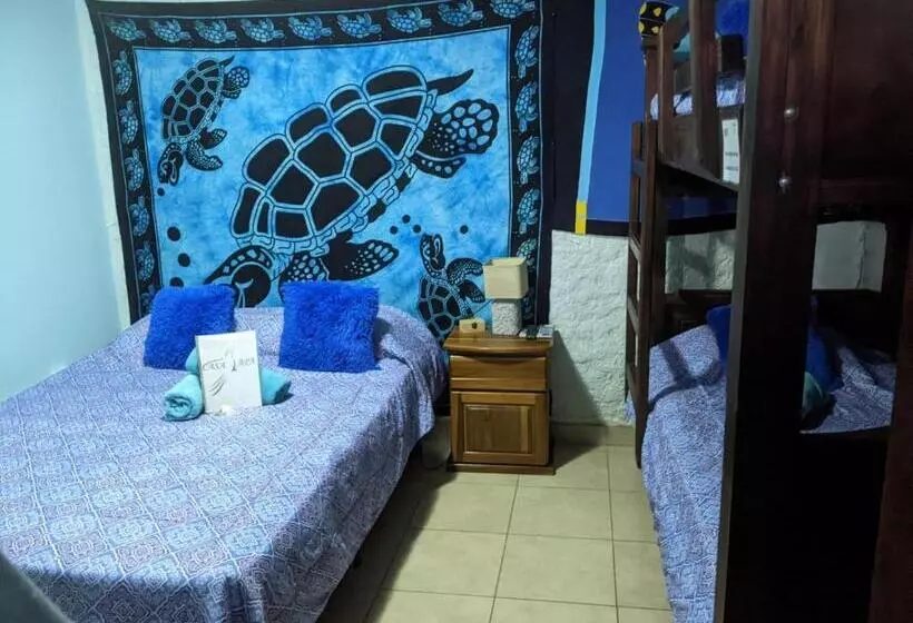 هاستل Guesthouse Casa Lapa2
