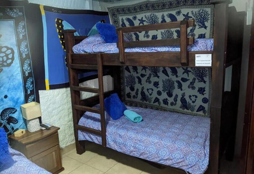 هاستل Guesthouse Casa Lapa2