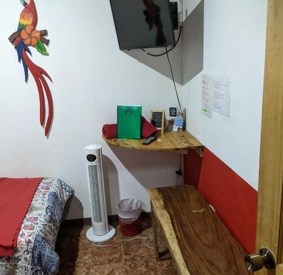 هاستل Guesthouse Casa Lapa2