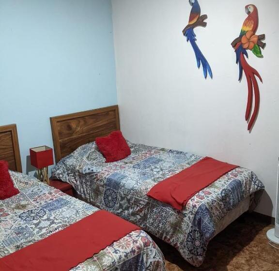 هاستل Guesthouse Casa Lapa2