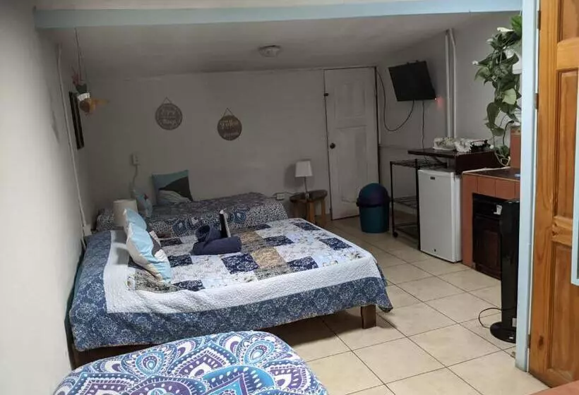 هاستل Guesthouse Casa Lapa2