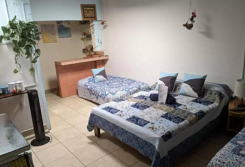 هاستل Guesthouse Casa Lapa2