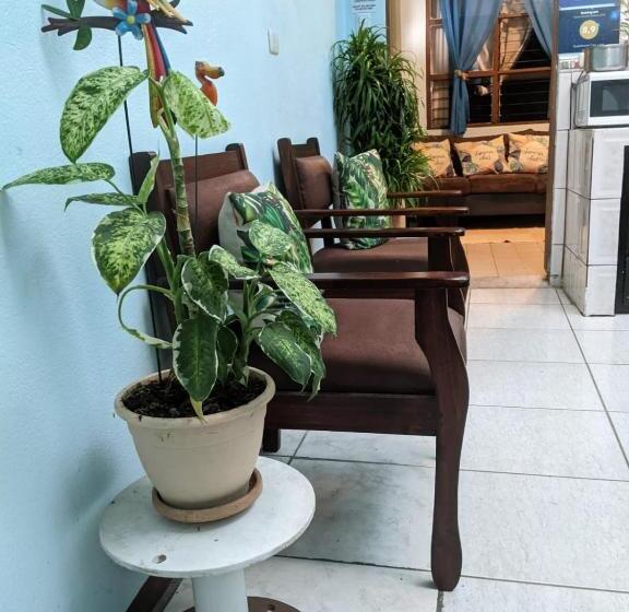 هاستل Guesthouse Casa Lapa2