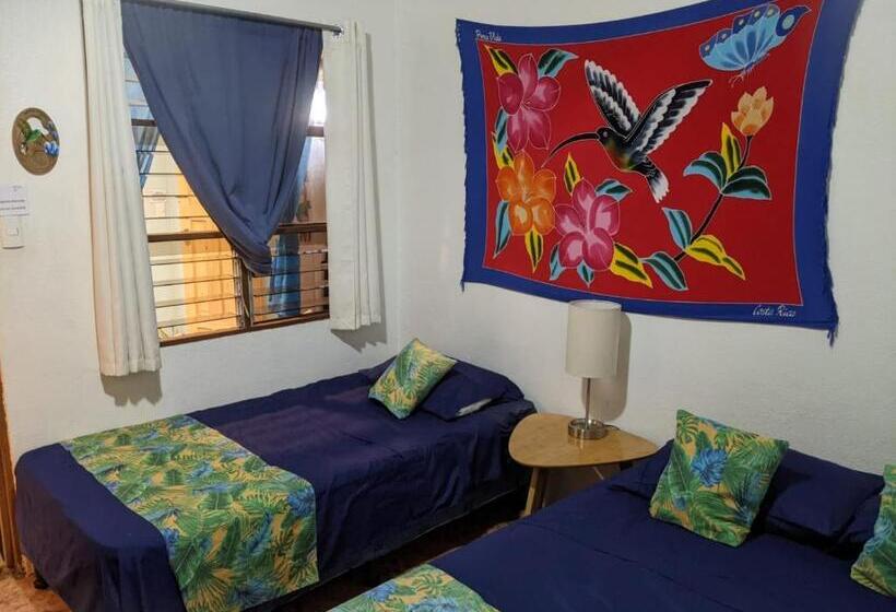 هاستل Guesthouse Casa Lapa2
