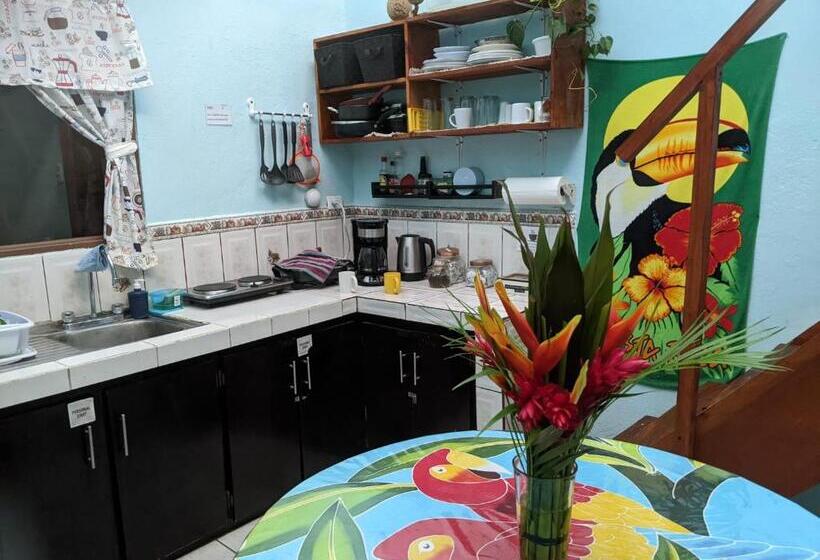 هاستل Guesthouse Casa Lapa2