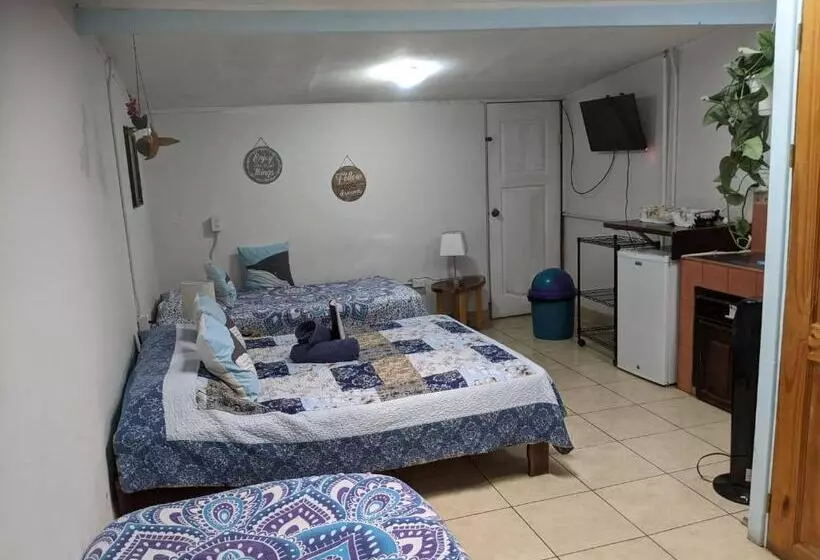 هاستل Guesthouse Casa Lapa2
