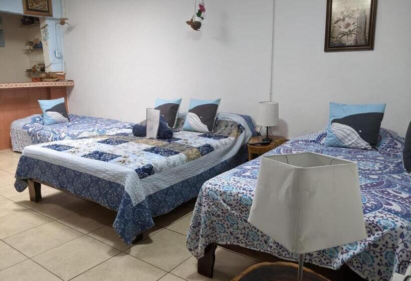 هاستل Guesthouse Casa Lapa2