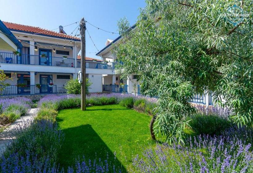 Отель The Old Border