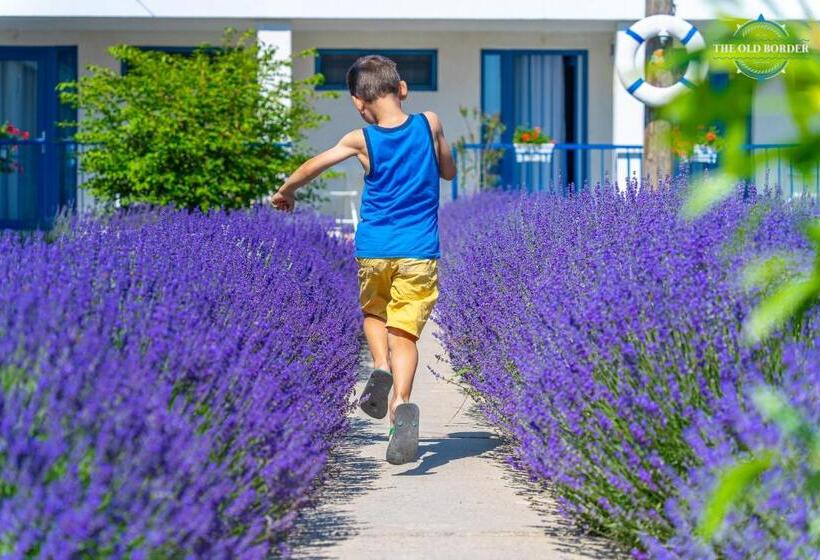 Отель The Old Border