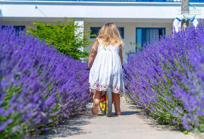 Отель The Old Border