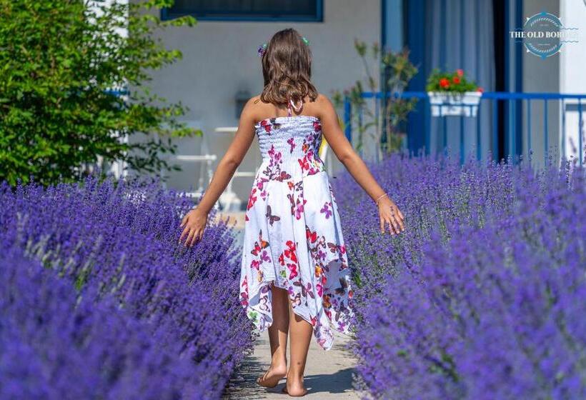 Отель The Old Border