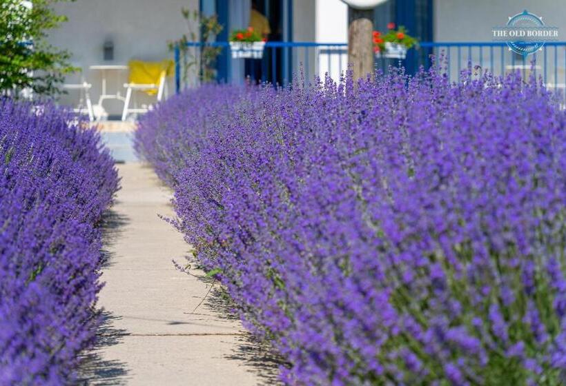 Отель The Old Border