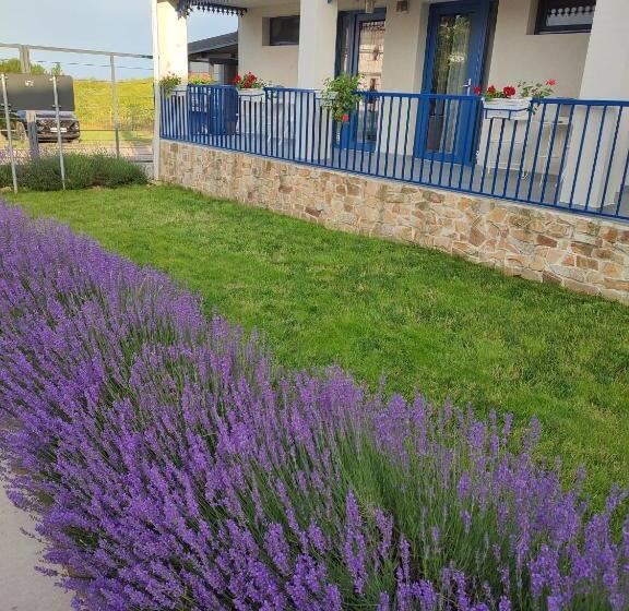 Отель The Old Border