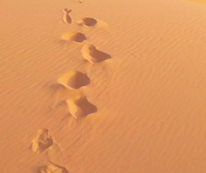 Majatalo Kasbah Tamariste