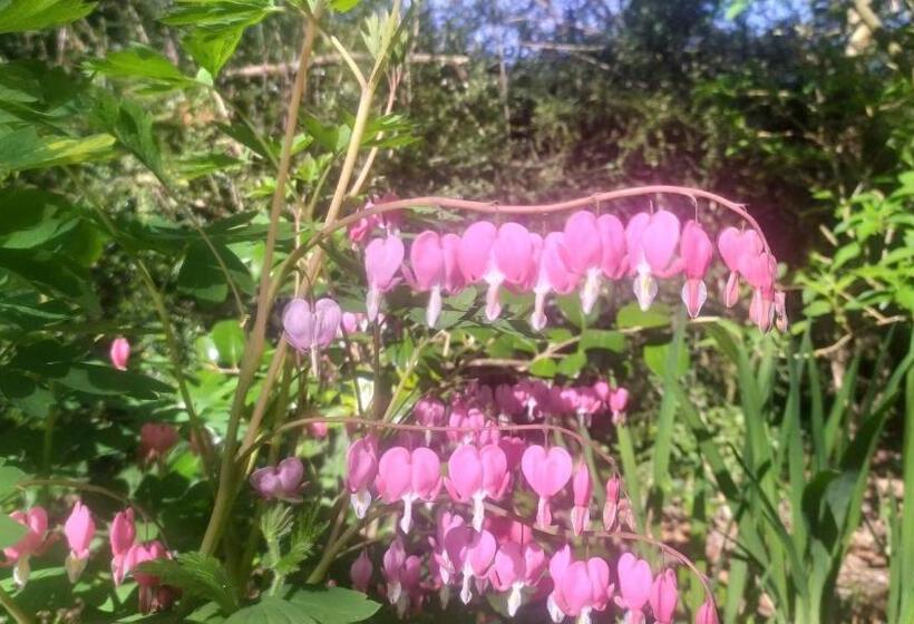 민박 Thatched Eaves