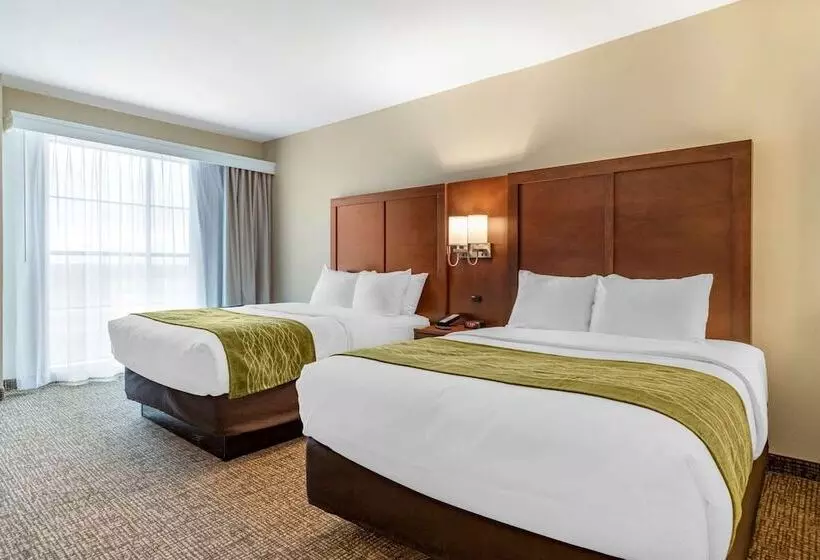 هتل Comfort Suites San Antonio Ft Sam Houston Sammc Area