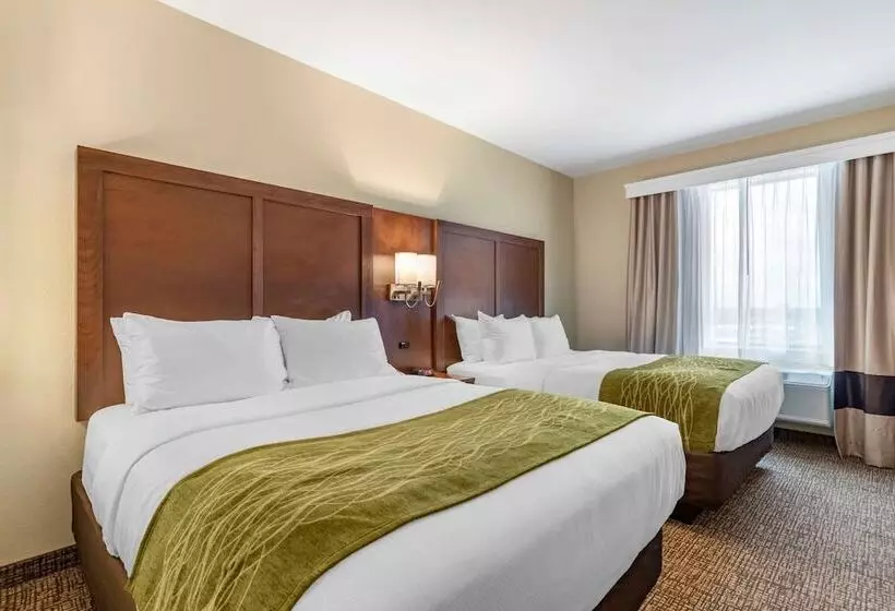 هتل Comfort Suites San Antonio Ft Sam Houston Sammc Area
