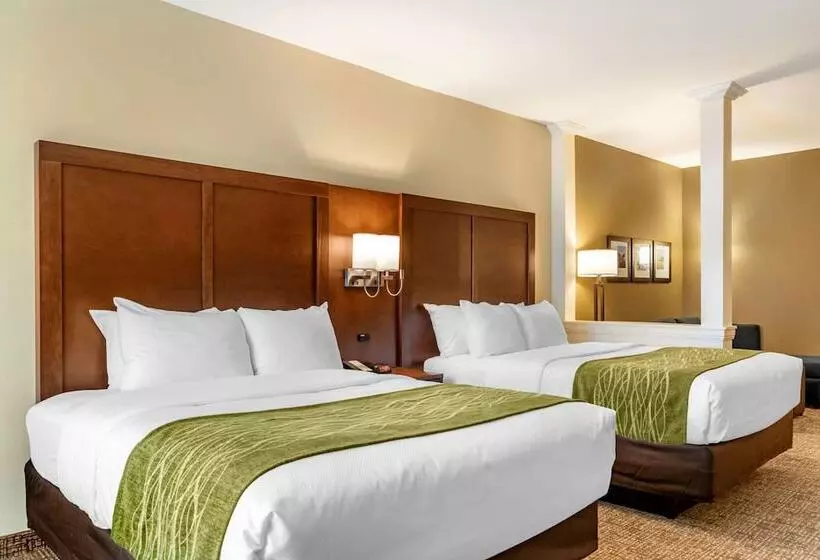 هتل Comfort Suites San Antonio Ft Sam Houston Sammc Area