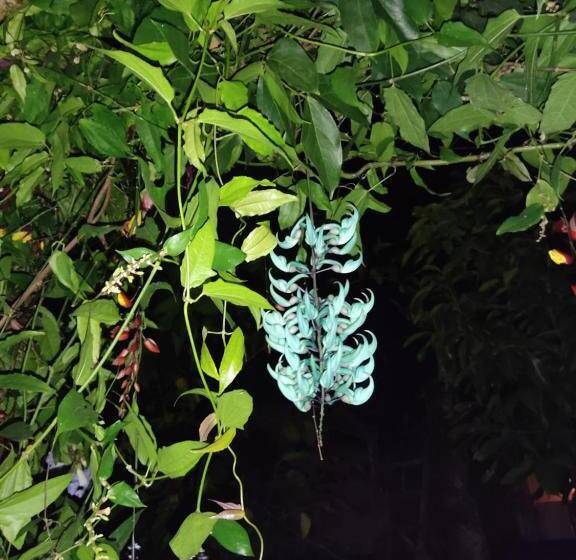 פנסיון Pousada Caragua Poesia Na Praia