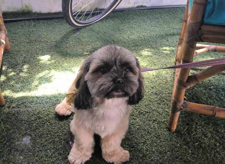 פנסיון Pousada Caragua Poesia Na Praia