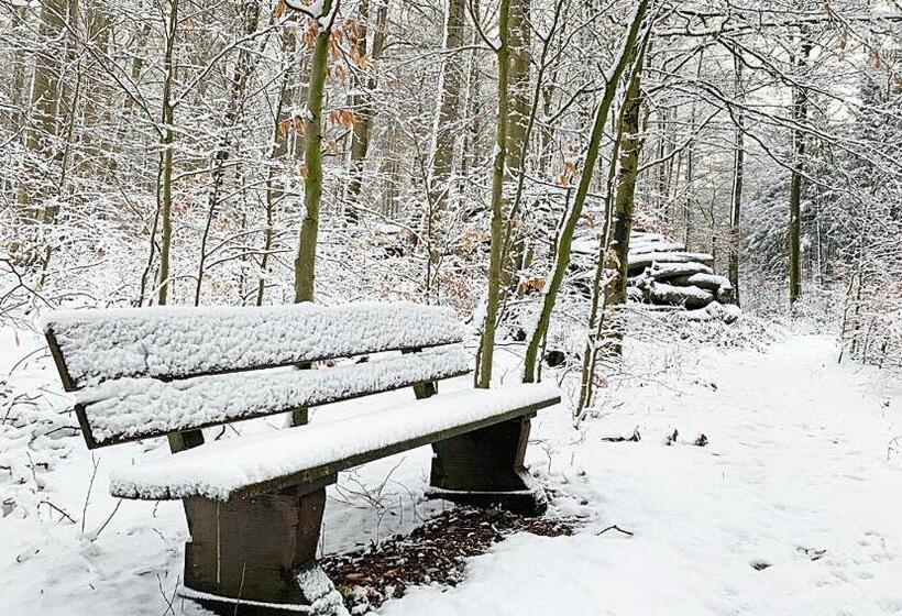 Отель Haus Eggewald