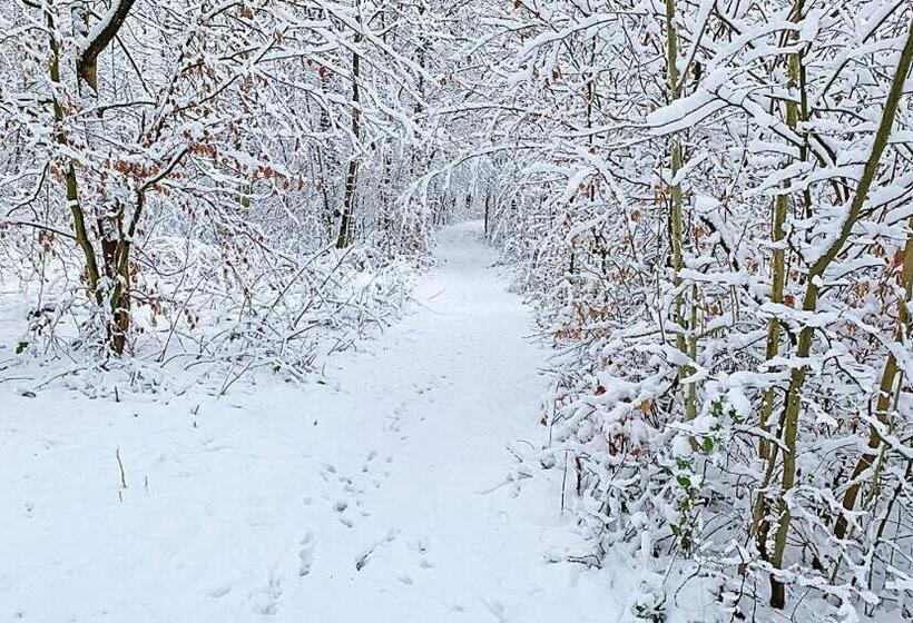 Отель Haus Eggewald