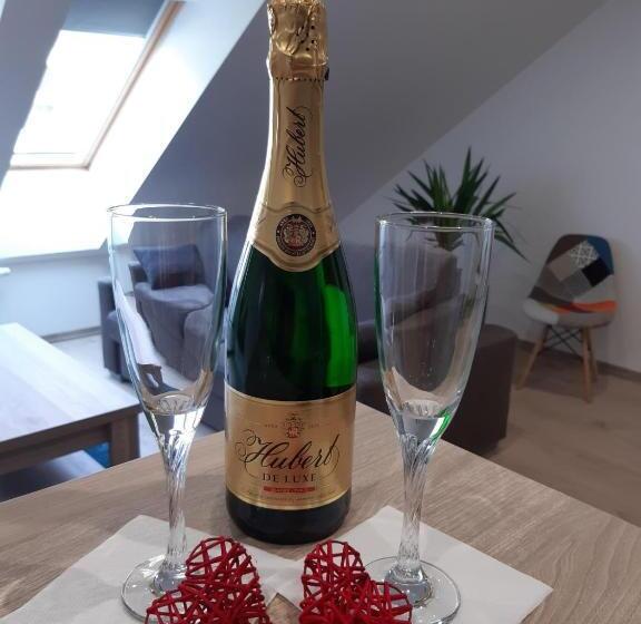 Pensão Apartmány Viecha