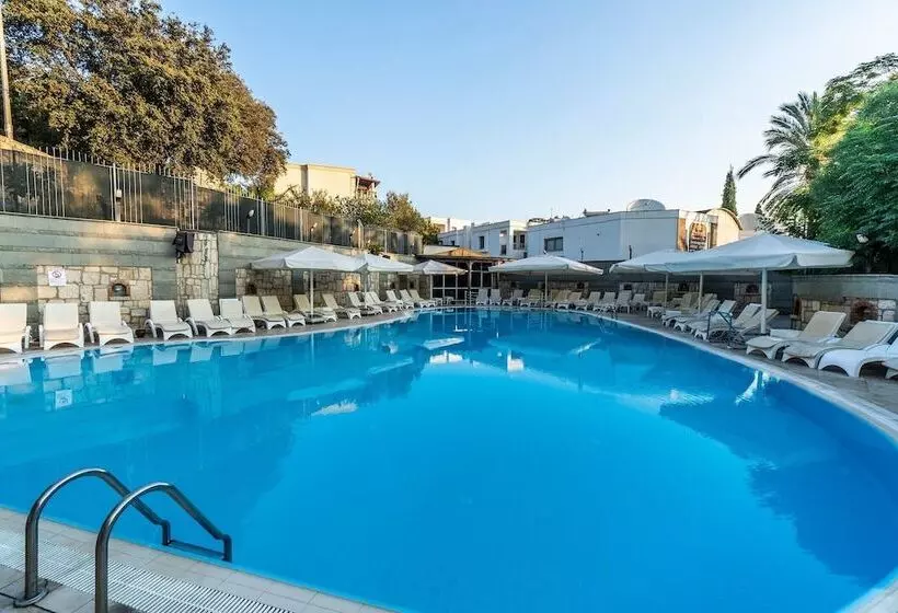 Lomakeskus Afytos Bodrum City