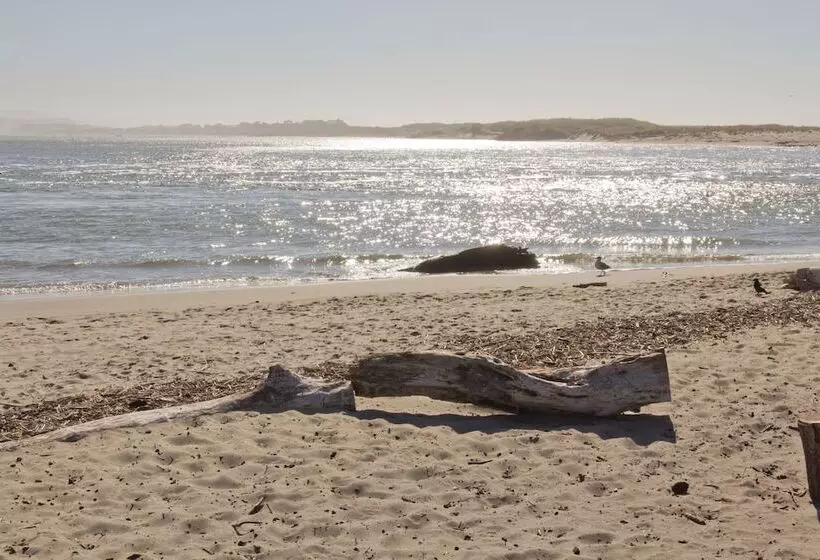 בית מלון כפרי Looking Glass Inn