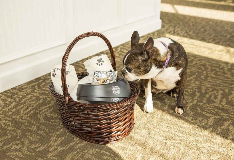 فندق Looking Glass Inn