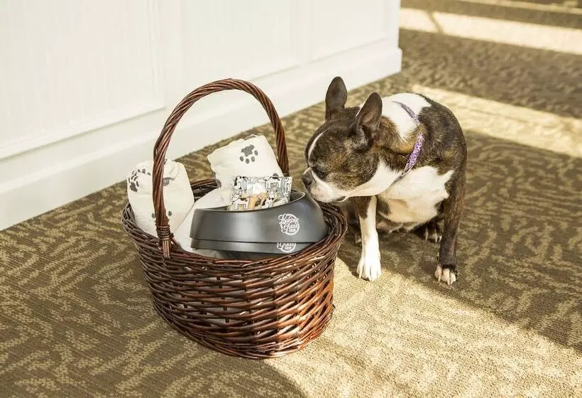 בית מלון כפרי Looking Glass Inn