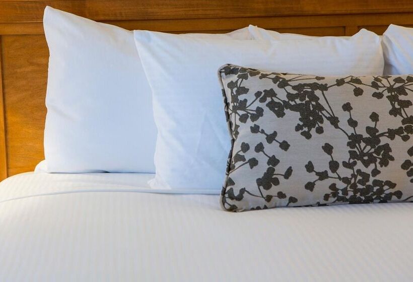 فندق Looking Glass Inn