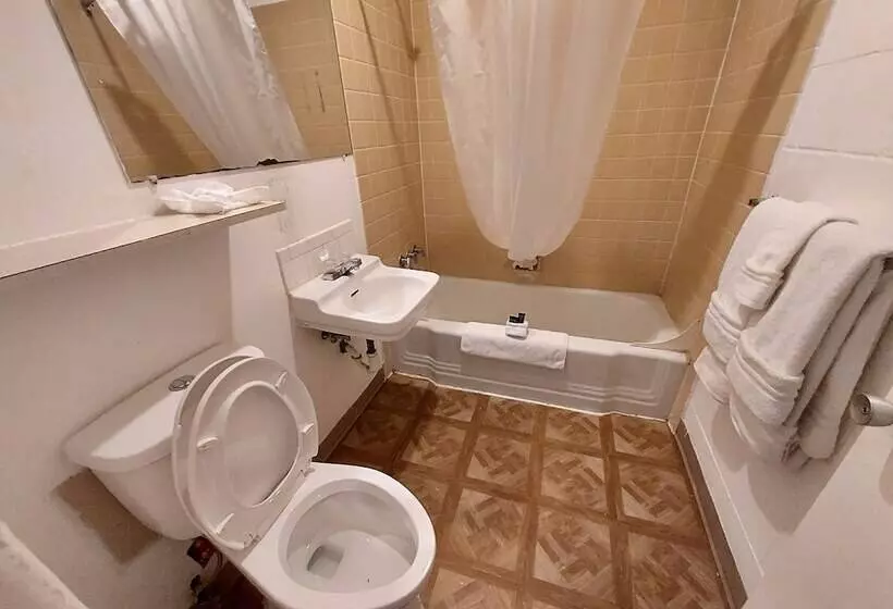 Отель Royal Inn