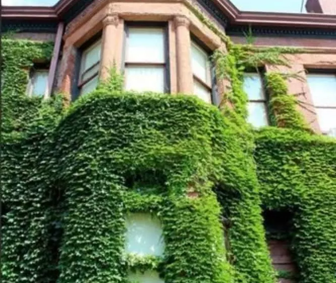 בית מלון כפרי The Redstone Inn And Suites