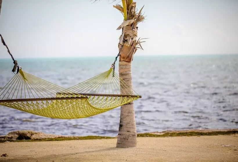 Ragged Edge Resort & Marina