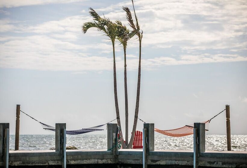 Ragged Edge Resort & Marina